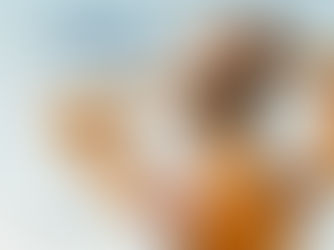 From the Ashes by Deborah Challinor