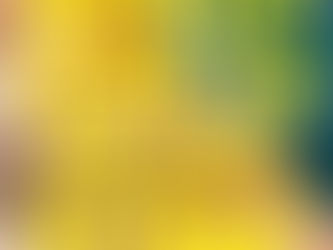 I’m Mostly Here to Enjoy Myself: One Woman’s Pursuit of Pleasure in Paris by Glynnis MacNicol