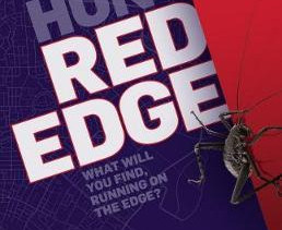 Red Edge by Des Hunt
