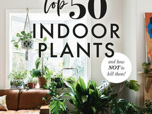 Yates Top 50 Indoor Plants and how NOT to kill them! by Angie Thomas