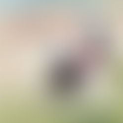 The Best Dog in the World Pat Chapman