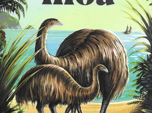 What Happened to the Moa by Ned Barraud