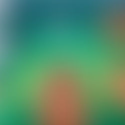 Kuwi’s Rowdy Crowd by Kat Merewether