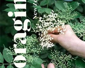 Foraging New Zealand by Peter Langlands