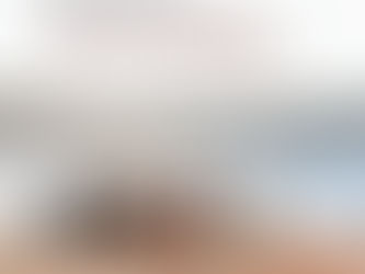 Wild Horses of the World by Kelly Wilson