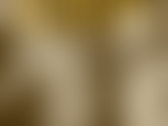 Kauri – Witness to a Nation’s History by Joanna Orwin