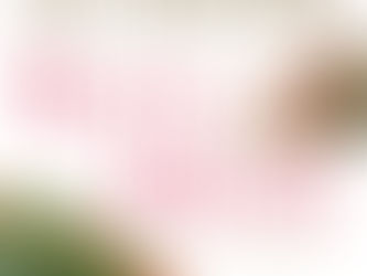 Rain Music by Di Morrissey 