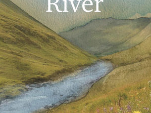 Cygnet River by Sharron Martin