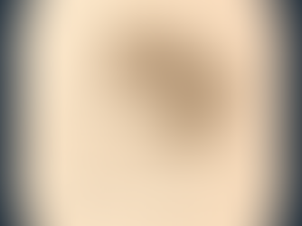 He Pukapuka Tātaku i ngā Mahi a Te Rauparaha Nui / A Record of the Life of the Great Te Rauparaha