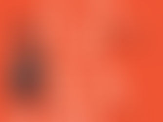 Interview: Jessica Hutchings and Jo Smith talk about growing kai sovereignty in Pātaka Kai 