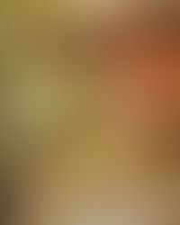 Win a copy of these ANZAC books!