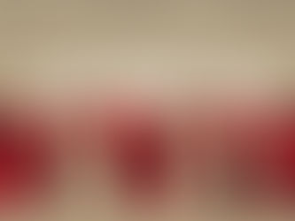 The Front Line: Images of New Zealanders in the Second World War by Glyn Harper with Susan Lemish