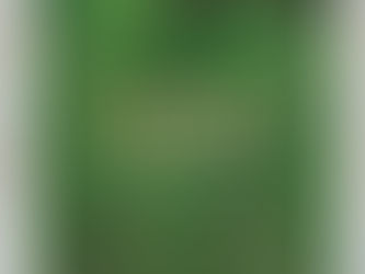 Aroha by Dr Hinemoa Elder