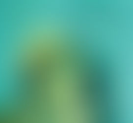 Saving Wānanga by Kris Hebert