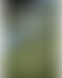 Tales of Curiosity by Sonya McArthur