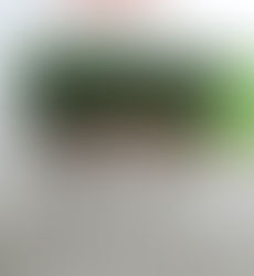 Town by Madeleine Slavick