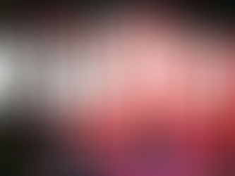 Top Secret Twenty-One, by Janet Evanovich 