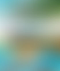 Wildlife of Aotearoa by Gavin Bishop