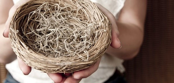 Redecorating the Nest: Chapter 11