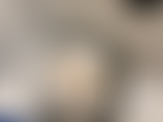 One Room Challenge Week 6 Recap