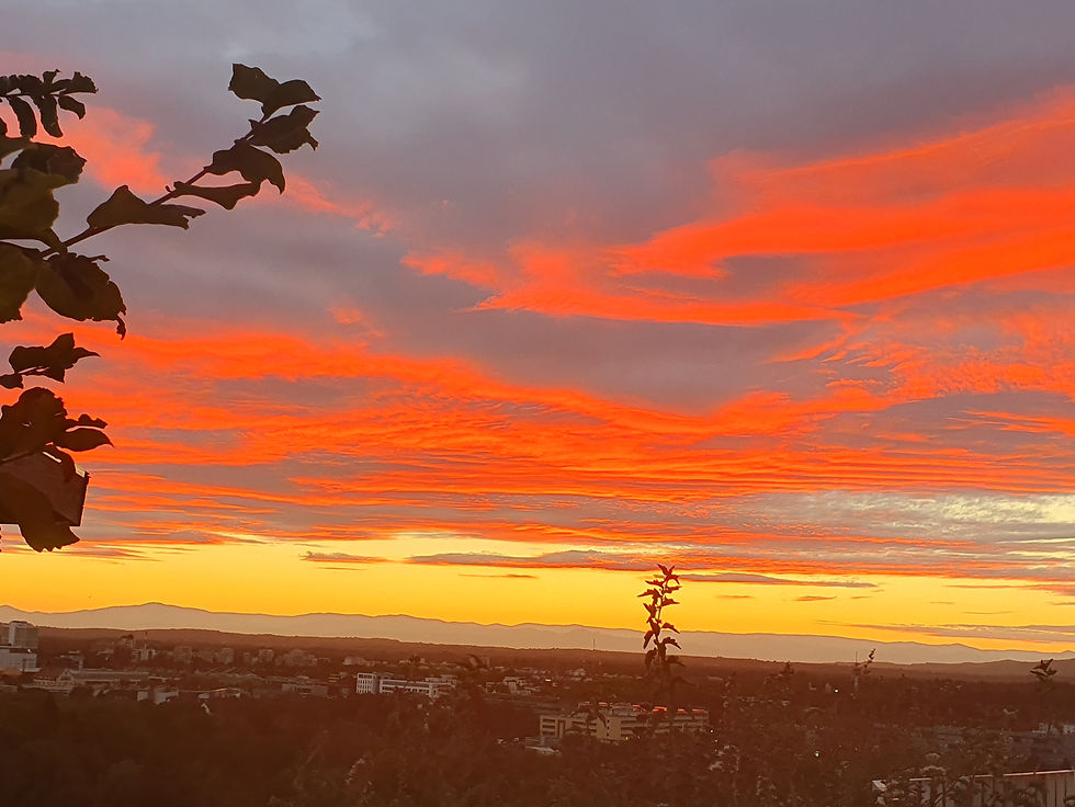 Black Forrest Sunset Sept 25