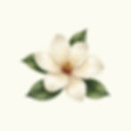 Magnolia Bloom Print