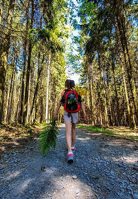 00022178-Aline Lejeune-Randonnée en Haute Ardenne.JPEG
