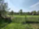 Jardin commun 6.jpg