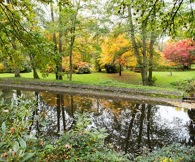 Arboretum-de-Rendeux-robert-lenoir.jpg