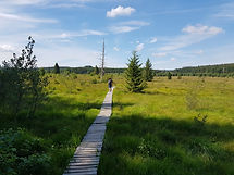 Fagne de Samrée.jpg