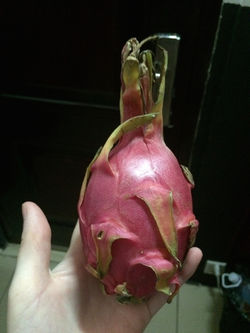 Passionfruit: My new favorite