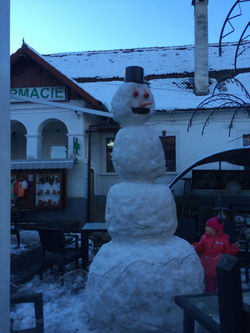 Snowman outside Bran Castle