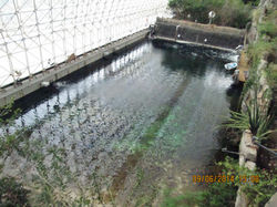 Biosphere 2 - ocean