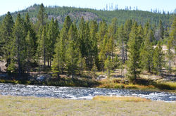 Yellowstone National Park