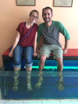 Chiang Mai, fish pedicures