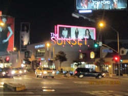 Sunset Blvd
