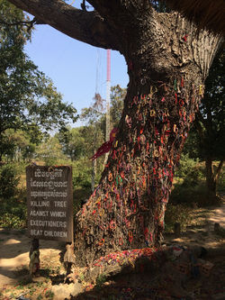 Phnom Penh, Killing Fields