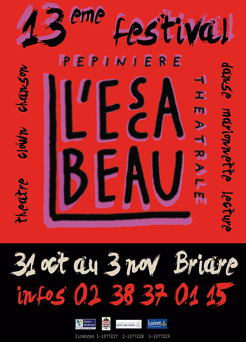 POUR_NOUS_affiche_13è_festival_pro_2019_