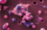 db58cda3-1e2e-4fd9-a0f1-7b5220b231cf_f14