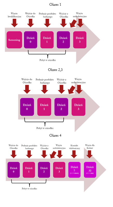 harmonogram 07pde.png