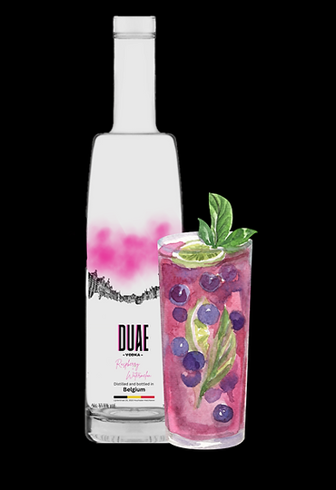 raspberry vodka lemonade.png