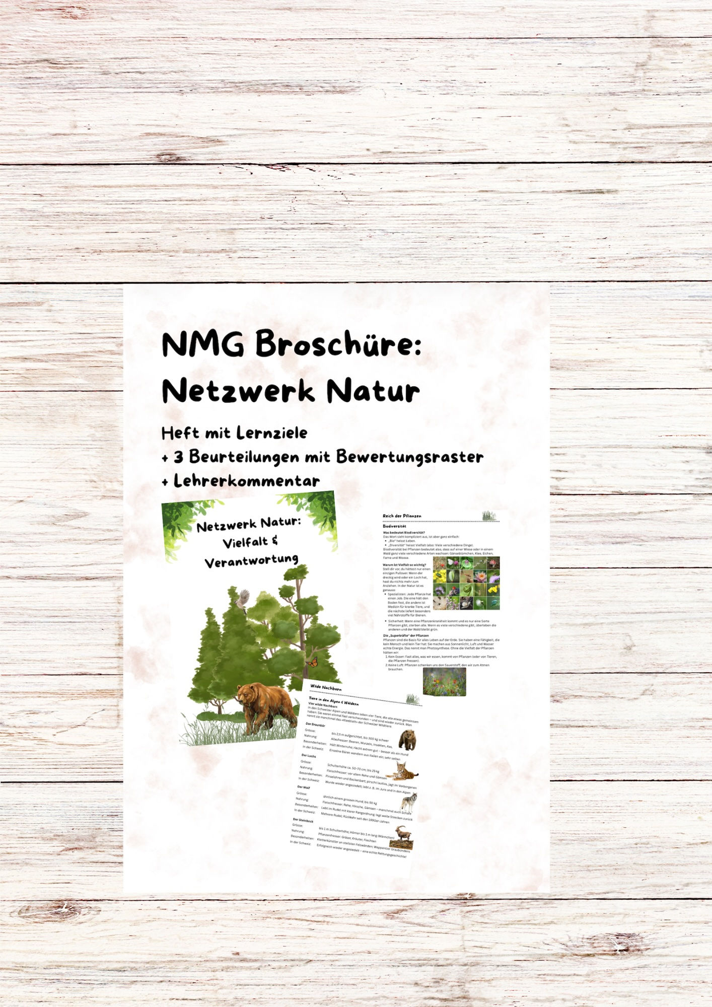 Netzwerk Natur: Heft, Lernziele, Lernkontrolle & Lösung