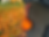 Thumbnail: Slobby Dog Ball Carrier