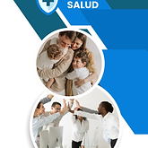 Seguros de salud_.png