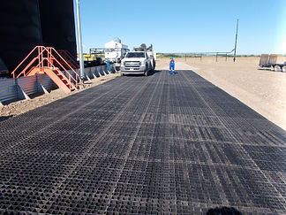 Ecoraster tank oil.jpeg