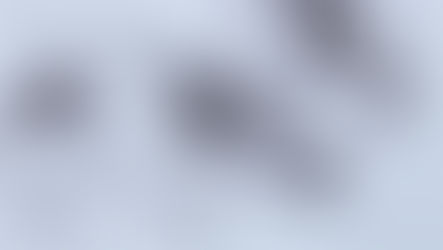 Rachel Hall art work 