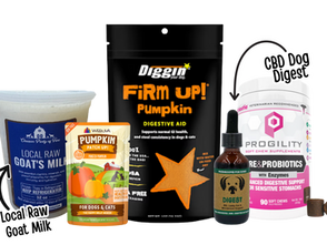 Support Healthy Digestion