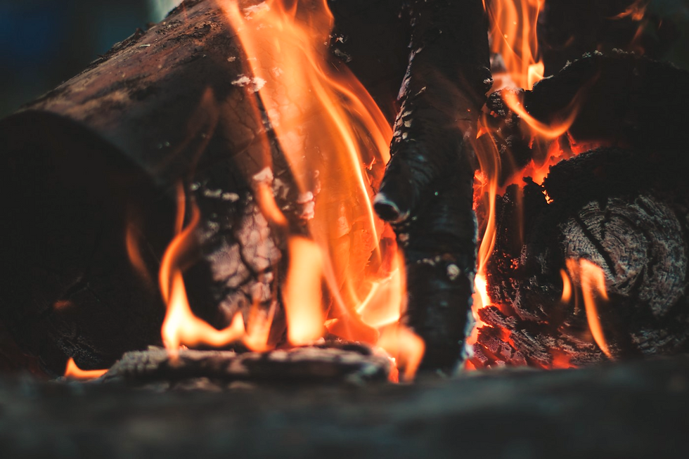 Burning Firewood