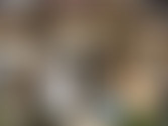 玄琢北東町テラスハウス（自社物件　一戸建て）