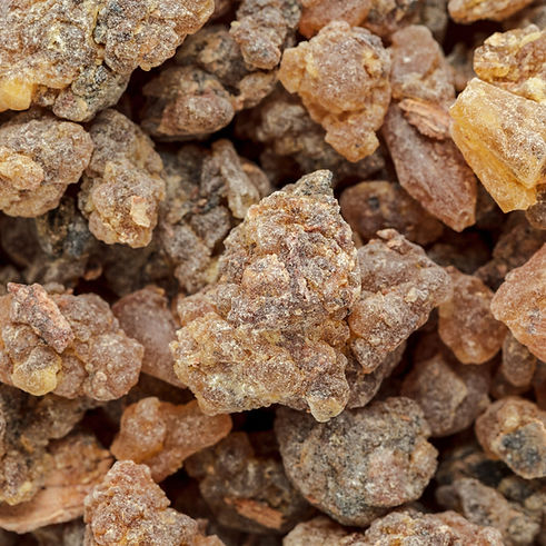 Benzoin_dried_resin_AdobeStock_119250752_2_1024x1024.jpeg